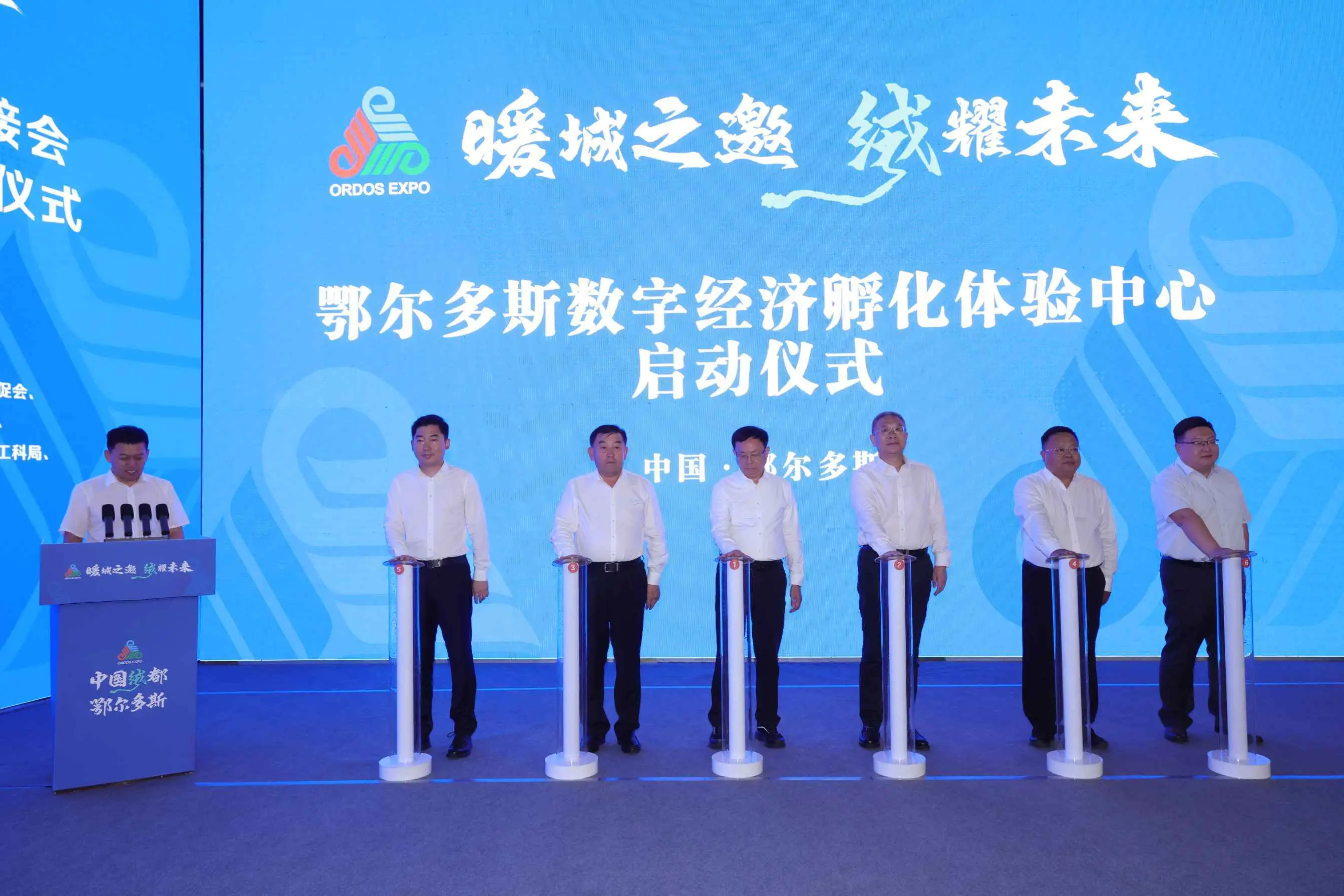 羊毛活动群_羊毛活动_羊毛活动什么意思
